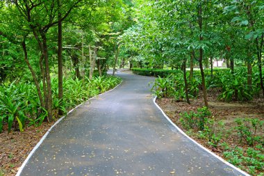 Bisiklet şeritli bir parkta