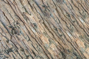 ahşap doku arkaplanı