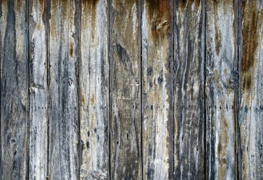 ahşap doku arkaplanı