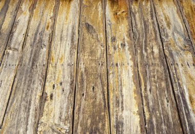 ahşap doku arkaplanı