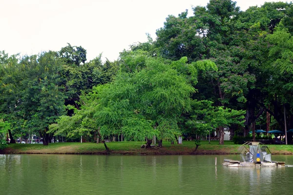 BANGKOK - 3. červenec: Pohled na jezero Lumpini parku v thajském hlavním městě — Stock fotografie