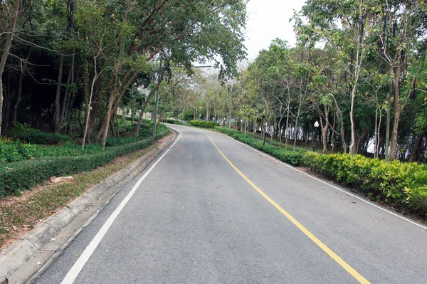 Estrada para a selva — Fotografia de Stock