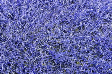 soyut çizgi doku arka plan