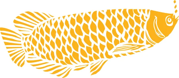 Pez arowana sobre un fondo blanco — Vector de stock