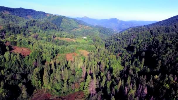 Luchtfoto van de Karpaten gebergte — Stockvideo