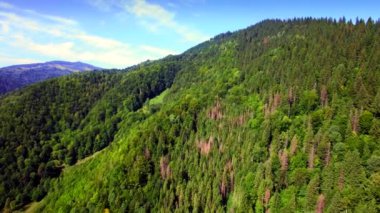Karpatlar Dağları'nın havadan görünümü