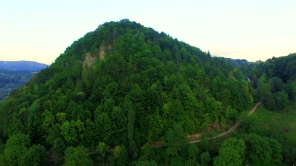 Vue aérienne des montagnes des Carpates — Video