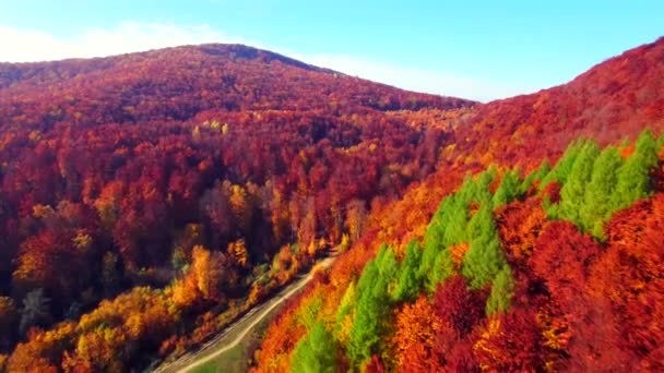 Vista aérea de las montañas de otoño de los Cárpatos — Vídeos de Stock