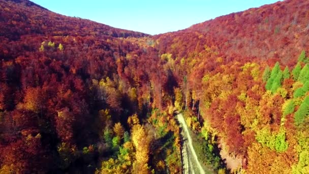 Vista aérea de las montañas de otoño de los Cárpatos — Vídeos de Stock