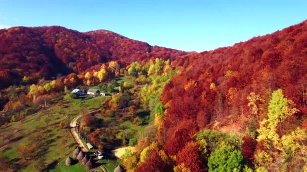 Vista aérea de las montañas de otoño de los Cárpatos — Vídeos de Stock