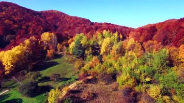 Sonbahar Karpatlar Dağları'nın havadan görünümü