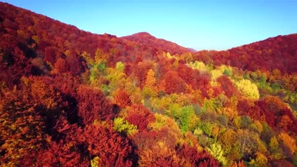 Vista aérea de las montañas de otoño de los Cárpatos — Vídeo de stock