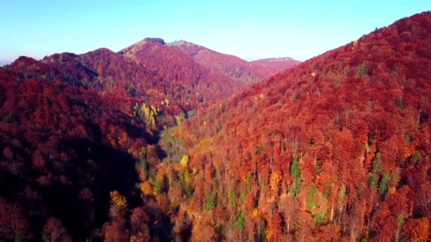 Vista aérea de las montañas de otoño de los Cárpatos — Vídeos de Stock