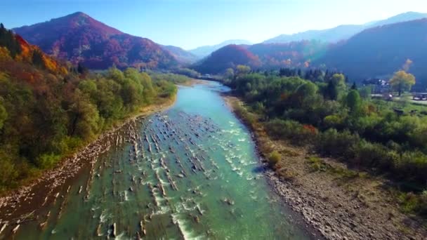 Luftaufnahme des Gebirgsflusses in den Karpaten. Herbst. — Stockvideo