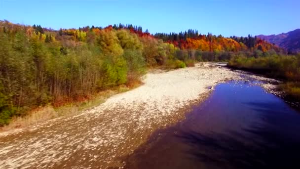 Vue aérienne de la rivière de montagne dans les Carpates. Automne . — Video