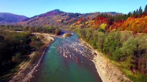 Veduta aerea del fiume di montagna nei Carpazi. Autunno . — Video Stock