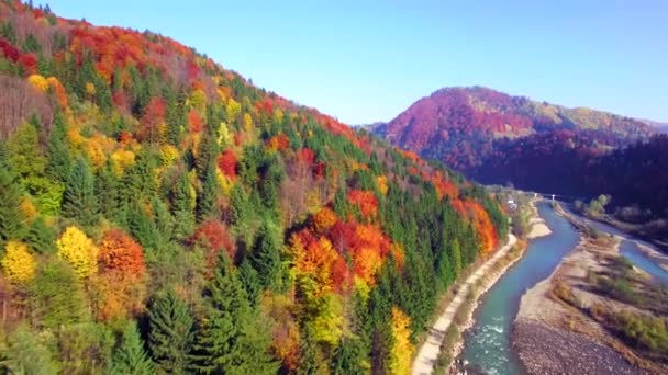 A légi felvétel a őszi Kárpátok hegység — Stock videók