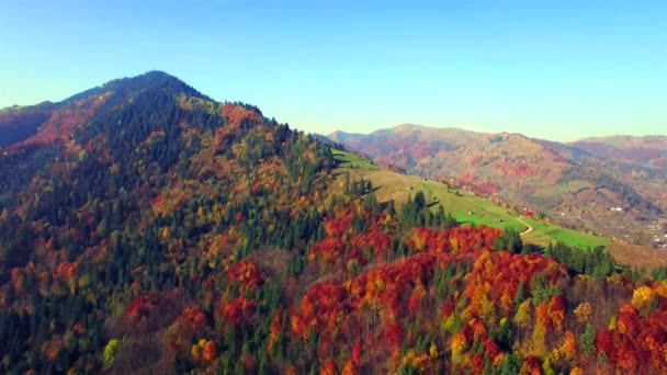 Aerial view of autumn Carpathians mountains — Stock Video