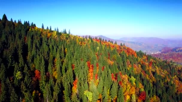 Aerial view of autumn Carpathians mountains — Stock Video