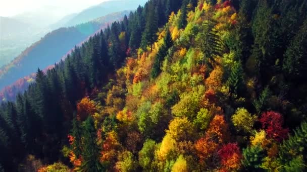 秋天的喀尔巴阡山脉的鸟瞰图 — 图库视频影像