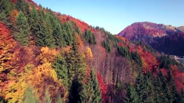 Vista aérea de las montañas de otoño de los Cárpatos — Vídeos de Stock