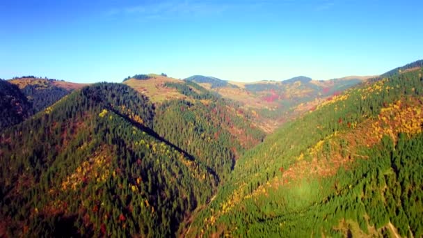 Luchtfoto van herfst Karpaten gebergte — Stockvideo