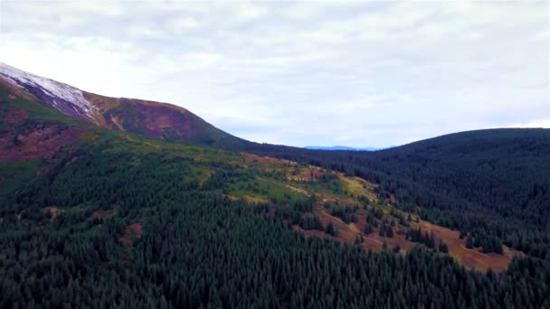 Vue aérienne des plus hauts sommets ukrainiens des Carpates — Video