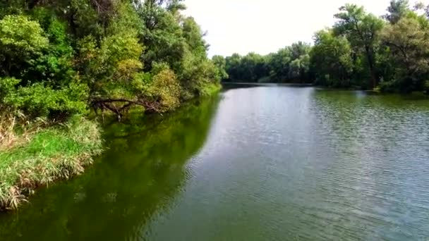 Luchtfoto uitzicht op de rivier in het forest — Stockvideo