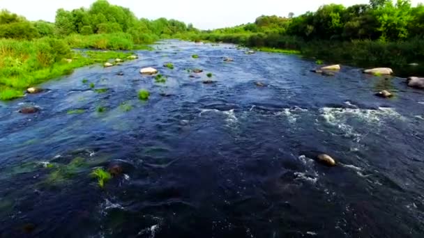 Aerial view of rapid river — Stock Video