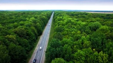 Yolun yeşil orman yoluyla havadan görünümü.