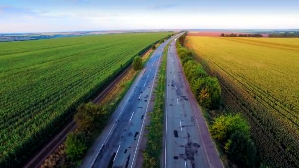 Aerial view of suburban road between fields — Stock Video