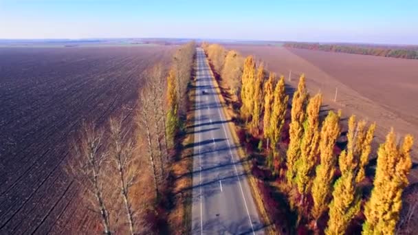 Vista aérea de la carretera suburbana con árboles otoñales en los bordes — Vídeo de stock