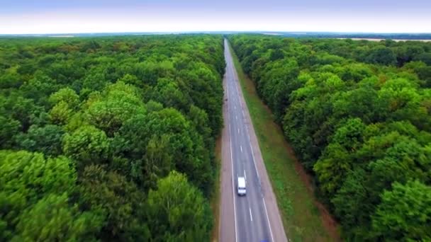 Вид с воздуха на дорогу через зеленый лес . — стоковое видео