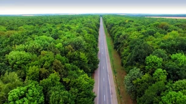 Flygfoto över vägen genom skogen. — Stockvideo