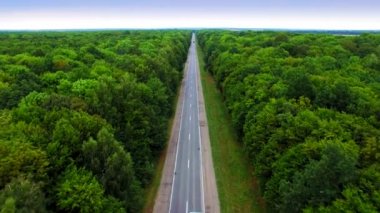 Yolun yeşil orman yoluyla havadan görünümü.