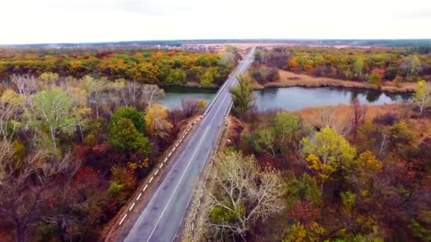 Luftaufnahme der Straße durch den Herbstwald. — Stockvideo