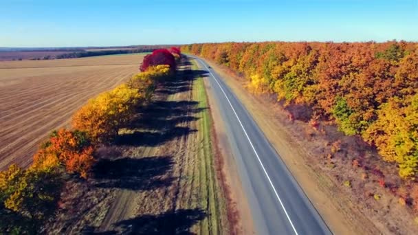 Вид на приміську дорогу між полем і лісом — стокове відео