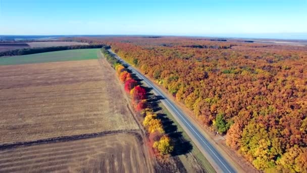 Aerial view of suburban road between field and forest — Stock Video