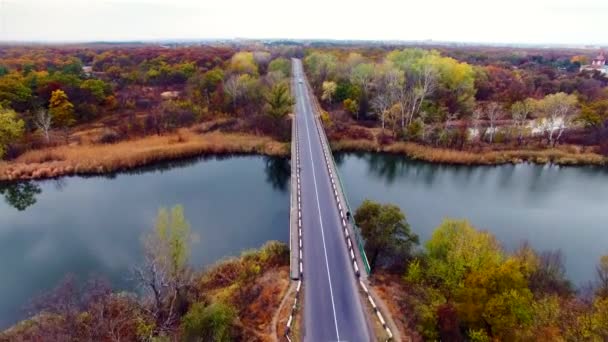 Вид з повітря на дорогу через осінній ліс . — стокове відео