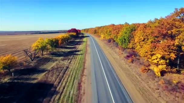 Вид на приміську дорогу між полем і лісом — стокове відео