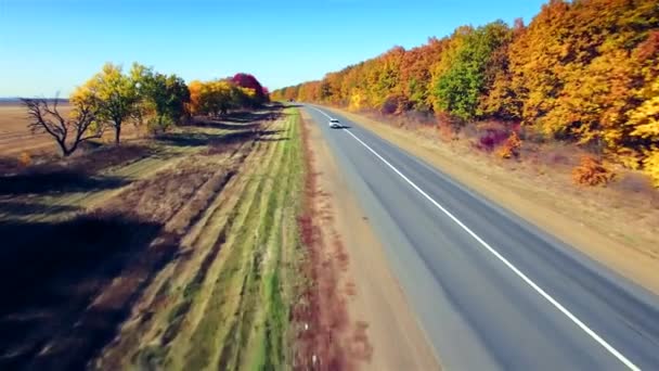 Vista aérea da estrada suburbana entre o campo e a floresta — Vídeo de Stock