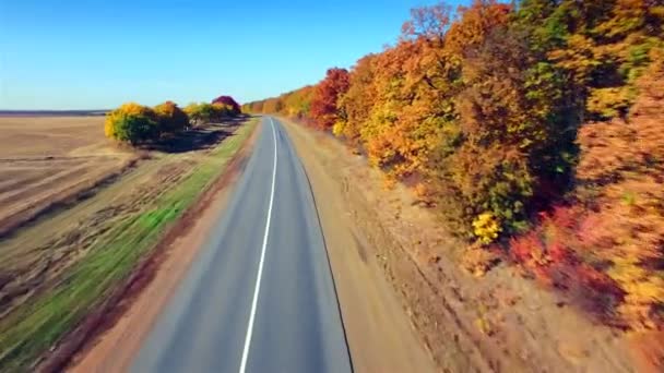 Alan ve orman arasındaki banliyö yol havadan görünümü — Stok video