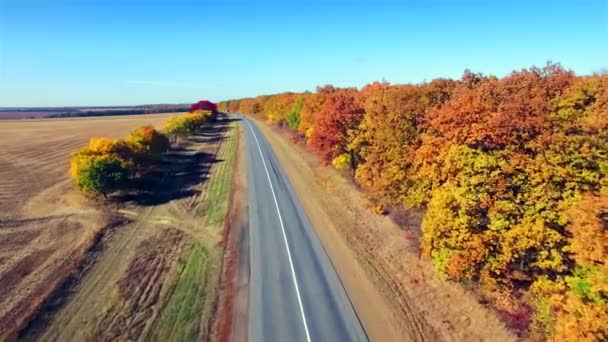 Вид на приміську дорогу між полем і лісом — стокове відео