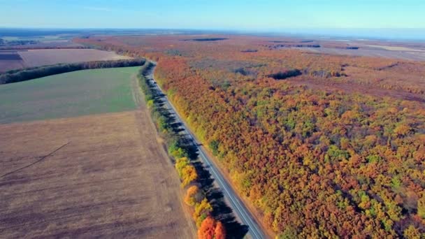 Aerial view of suburban road between field and forest — Stock Video