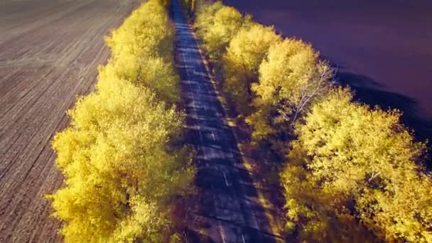 A légi felvétel a külvárosi road, őszi fák, a széleken