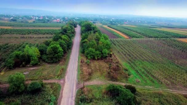 Вид с воздуха на пригородную дорогу между полями — стоковое видео