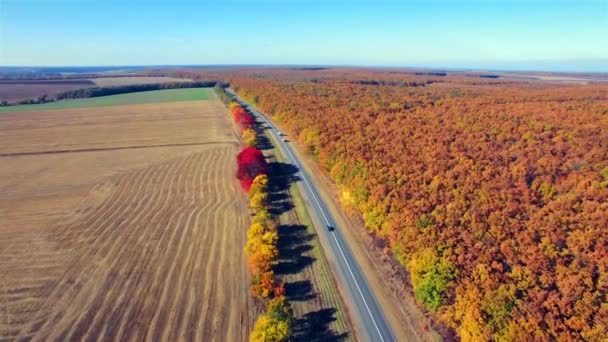 Flygfoto över suburban vägen mellan fält och skog — Stockvideo