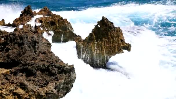 Ondas do oceano tropical quebrando na costa do recife — Vídeo de Stock