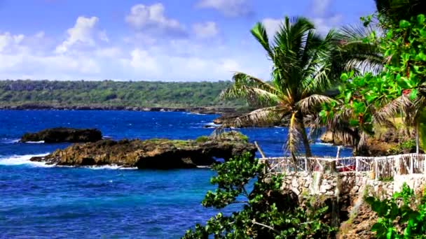 Orilla del océano de la isla tropical — Vídeo de stock