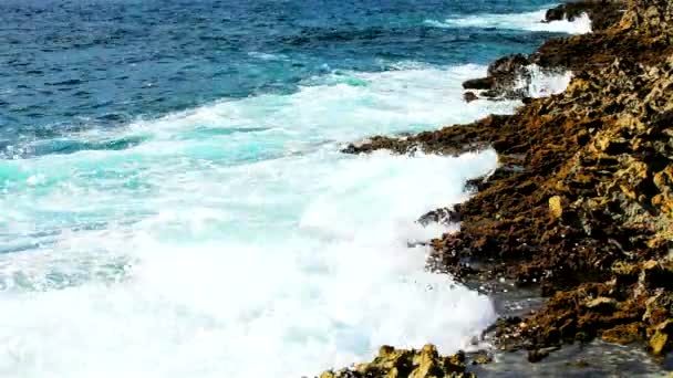 Tropikal okyanus dalgaları resif sahilde kırma — Stok video